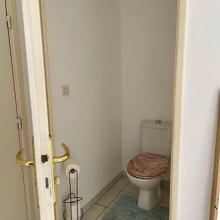 Avec Terrasse 칸느